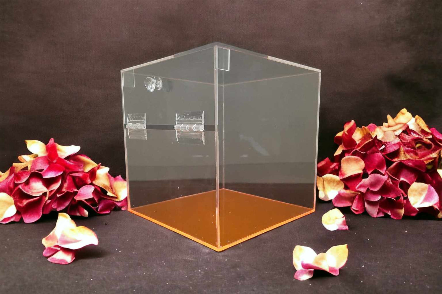 Caja almacenadora de acrílico