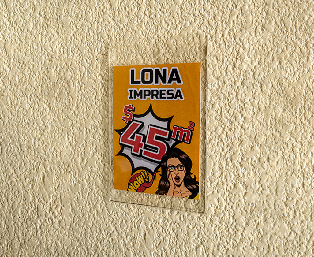 Porta hojas de pared de acrílico