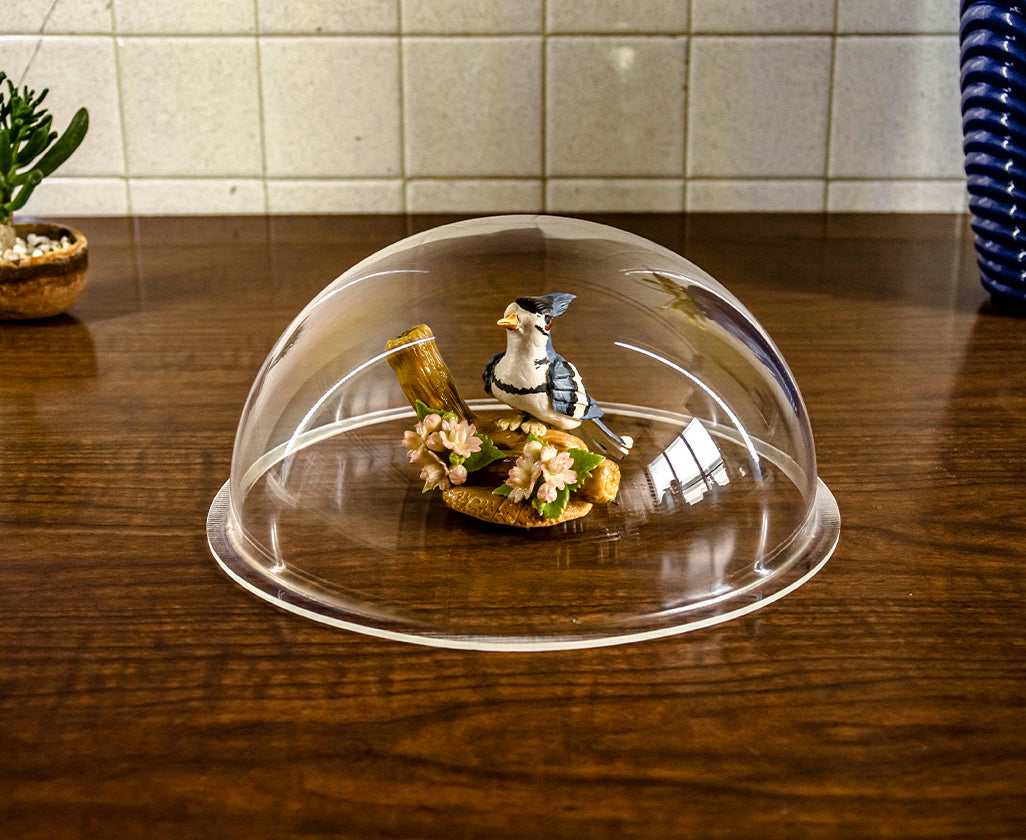 Semiesfera de acrílico